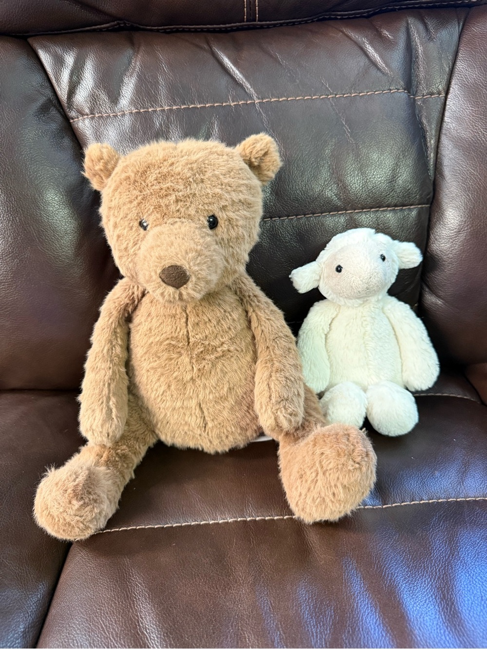 Jellycat cocoa bear and bashful lamb